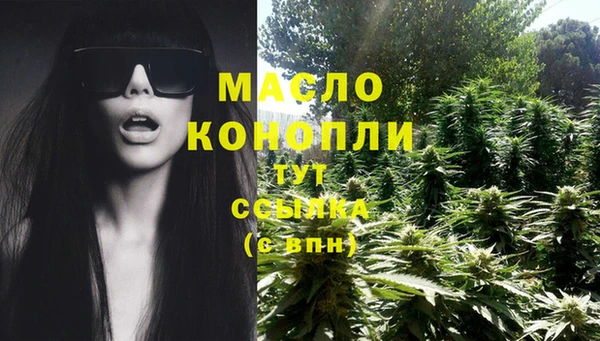 спиды Бородино